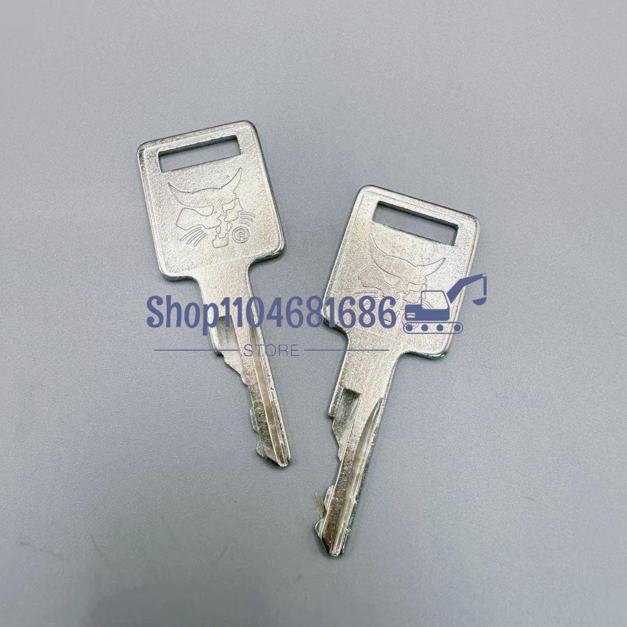 2pcs D250 Ignition Keys 669324 - Heavy Equipment Keychain recension och pris